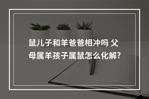 鼠儿子和羊爸爸相冲吗 父母属羊孩子属鼠怎么化解?