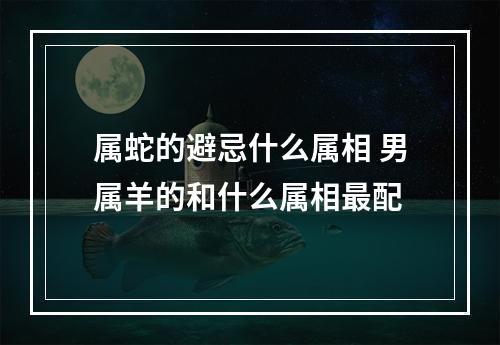 属蛇的避忌什么属相 男属羊的和什么属相最配