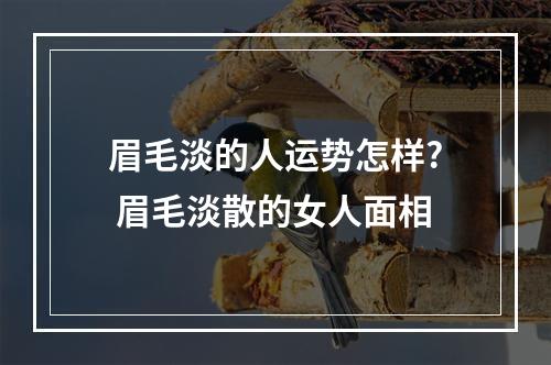 眉毛淡的人运势怎样? 眉毛淡散的女人面相