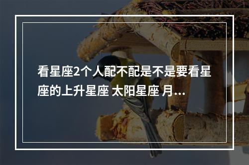 看星座2个人配不配是不是要看星座的上升星座 太阳星座 月亮星座 周公解梦梦见窑洞清水洒进来