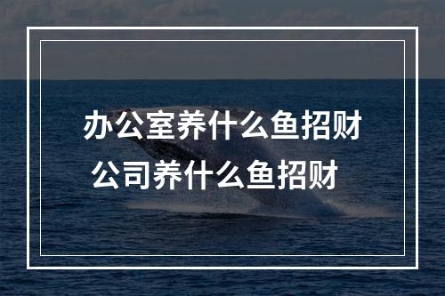 办公室养什么鱼招财 公司养什么鱼招财