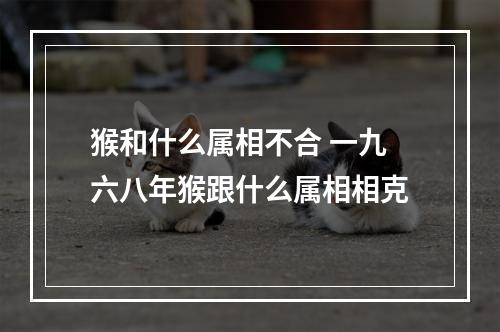 猴和什么属相不合 一九六八年猴跟什么属相相克
