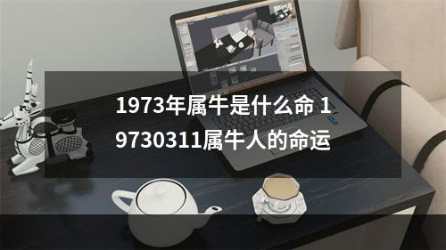 1973年属牛是什么命 19730311属牛人的命运