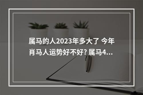 属马的人2023年多大了 今年肖马人运势好不好? 属马45岁今年运势好不好
