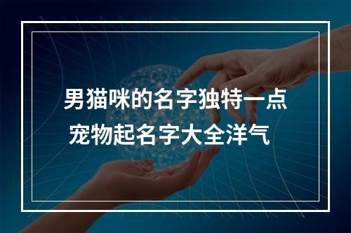 男猫咪的名字独特一点 宠物起名字大全洋气