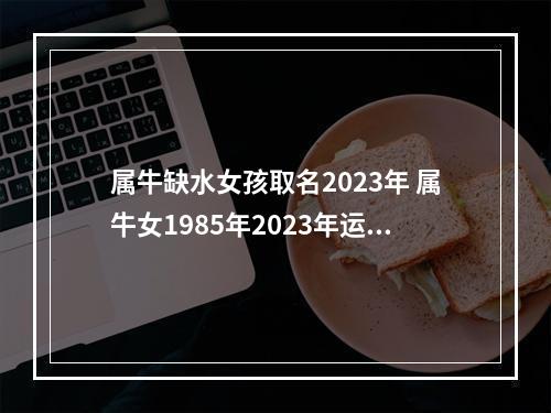 属牛缺水女孩取名2023年 属牛女1985年2023年运势及运程