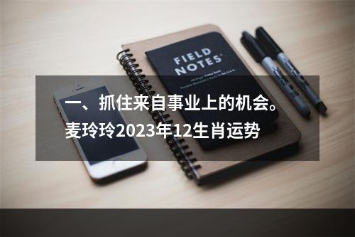 一、抓住来自事业上的机会。 麦玲玲2023年12生肖运势