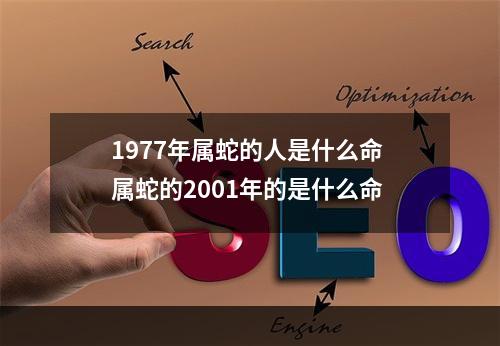 1977年属蛇的人是什么命 属蛇的2001年的是什么命