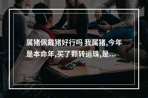 属猪佩戴猪好行吗 我属猪,今年是本命年,买了颗转运珠,是颗小金猪,会不会犯太岁,不好...