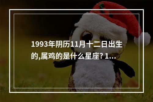 1993年阴历11月十二日出生的,属鸡的是什么星座? 1993年11月属鸡是什么星座