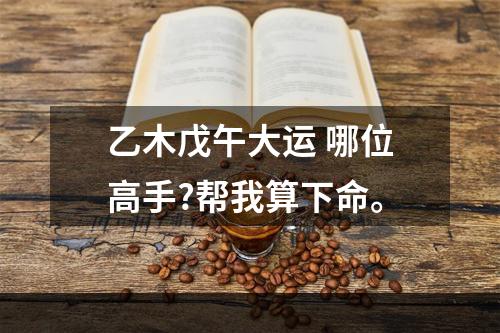 乙木戊午大运 哪位高手?帮我算下命。