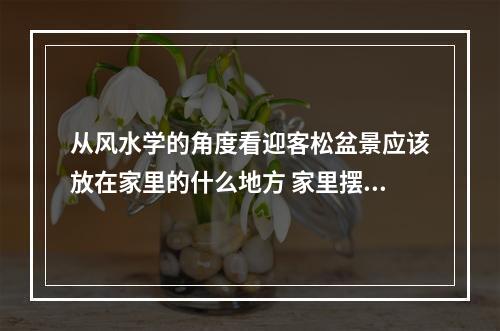 从风水学的角度看迎客松盆景应该放在家里的什么地方 家里摆什么盆景风水好