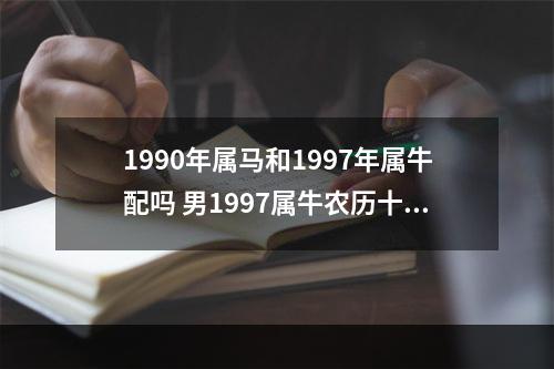 1990年属马和1997年属牛配吗 男1997属牛农历十月初七和女1990属马三月二十二相配吗?