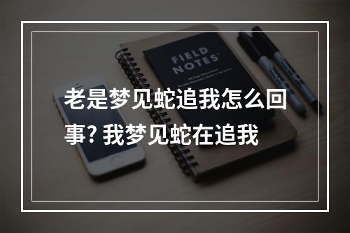 老是梦见蛇追我怎么回事? 我梦见蛇在追我