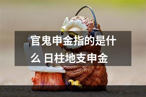 官鬼申金指的是什么 日柱地支申金