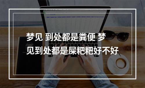 梦见 到处都是粪便 梦见到处都是屎粑粑好不好