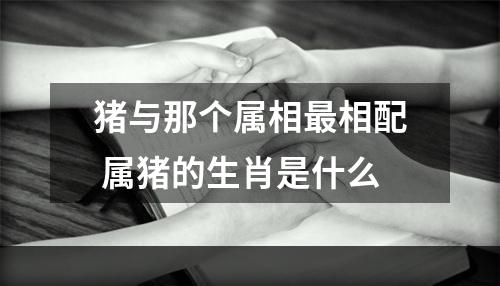 猪与那个属相最相配 属猪的生肖是什么