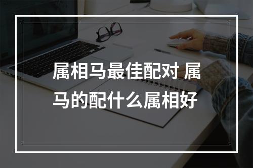 属相马最佳配对 属马的配什么属相好