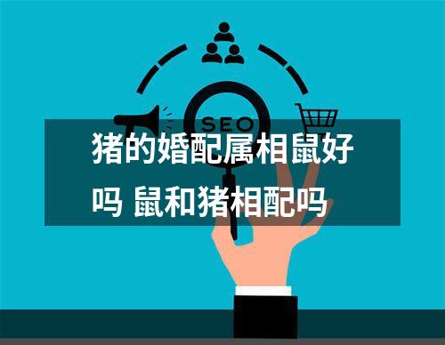 猪的婚配属相鼠好吗 鼠和猪相配吗