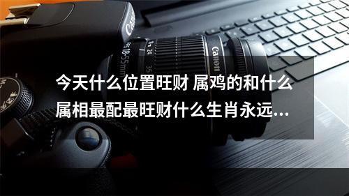 今天什么位置旺财 属鸡的和什么属相最配最旺财什么生肖永远旺鸡