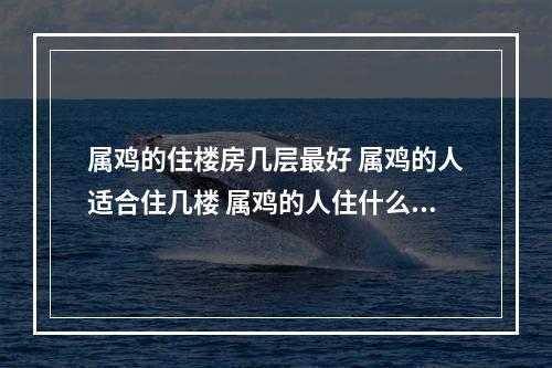属鸡的住楼房几层最好 属鸡的人适合住几楼 属鸡的人住什么楼层最好