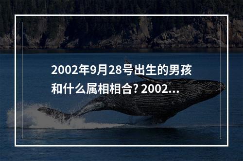 2002年9月28号出生的男孩和什么属相相合? 2002年婚姻最配属相