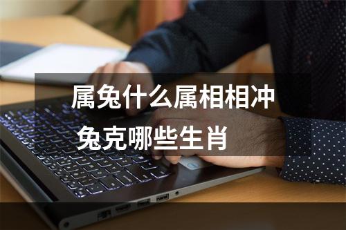 属兔什么属相相冲 兔克哪些生肖