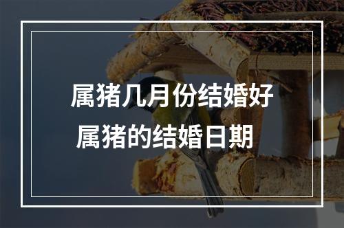 属猪几月份结婚好 属猪的结婚日期
