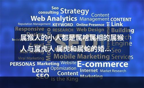 属猴人的小人都是属啥属相的属猴人与属虎人 属虎和属蛇的婚配好不好