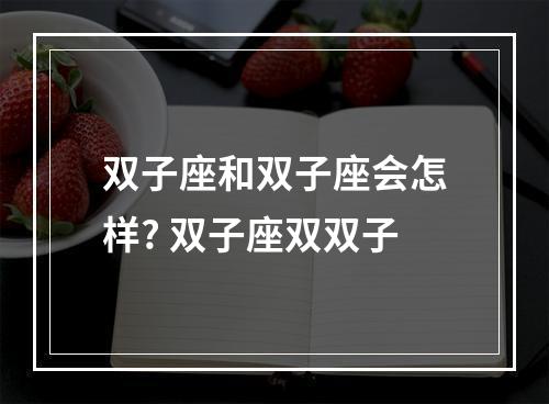 双子座和双子座会怎样? 双子座双双子
