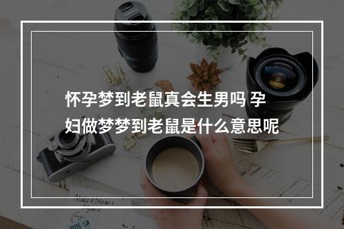 怀孕梦到老鼠真会生男吗 孕妇做梦梦到老鼠是什么意思呢
