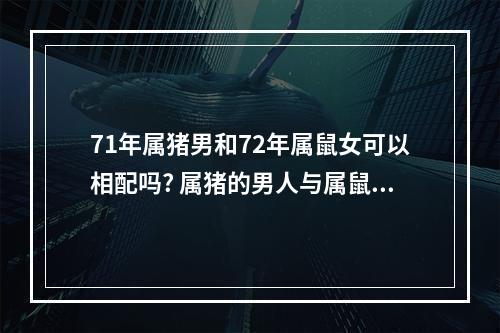 71年属猪男和72年属鼠女可以相配吗? 属猪的男人与属鼠的女人合适吗