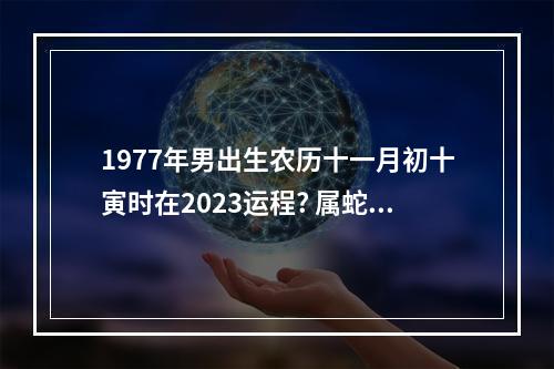 1977年男出生农历十一月初十寅时在2023运程? 属蛇的11月