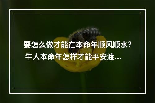 要怎么做才能在本命年顺风顺水? 牛人本命年怎样才能平安渡过