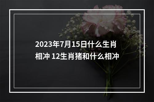 2023年7月15日什么生肖相冲 12生肖猪和什么相冲
