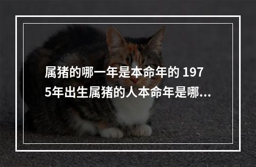 属猪的哪一年是本命年的 1975年出生属猪的人本命年是哪些年