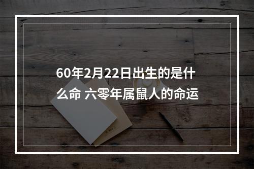 60年2月22日出生的是什么命 六零年属鼠人的命运