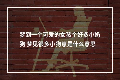 梦到一个可爱的女孩个好多小奶狗 梦见很多小狗崽是什么意思
