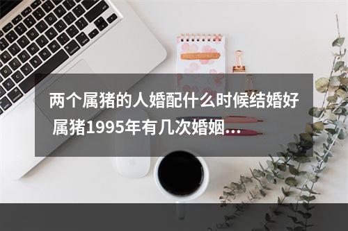 两个属猪的人婚配什么时候结婚好 属猪1995年有几次婚姻猪年1995年婚姻如何