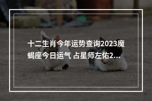 十二生肖今年运势查询2023魔蝎座今日运气 占星师左佑2023年摩羯座运气