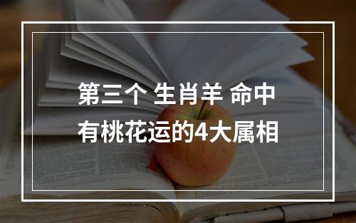 第三个 生肖羊 命中有桃花运的4大属相