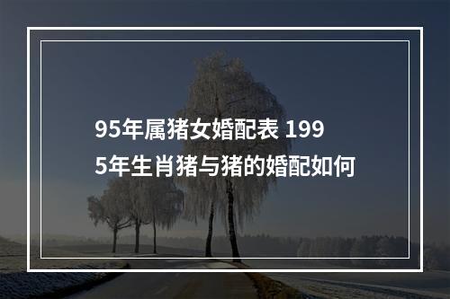 95年属猪女婚配表 1995年生肖猪与猪的婚配如何