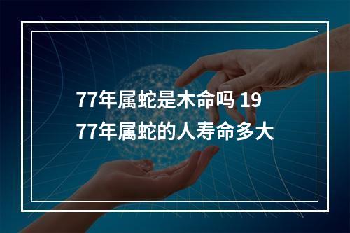77年属蛇是木命吗 1977年属蛇的人寿命多大