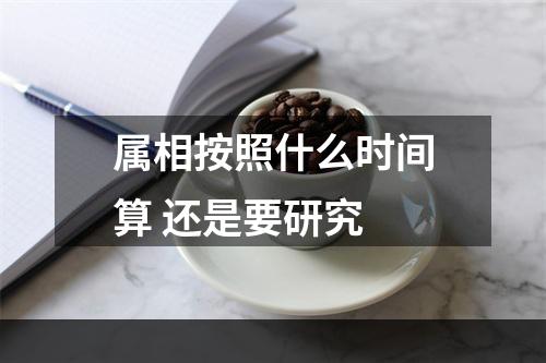 属相按照什么时间算 还是要研究