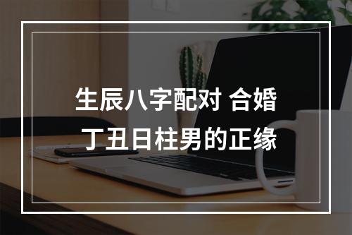 生辰八字配对 合婚 丁丑日柱男的正缘