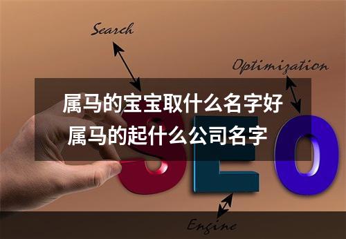 属马的宝宝取什么名字好 属马的起什么公司名字