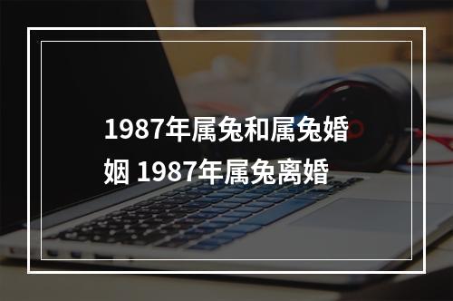 1987年属兔和属兔婚姻 1987年属兔离婚