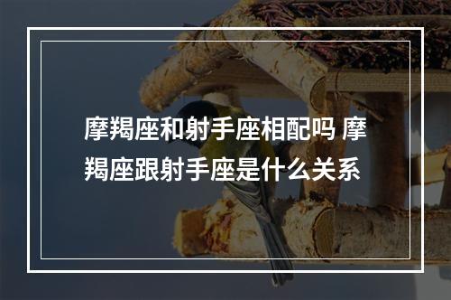 摩羯座和射手座相配吗 摩羯座跟射手座是什么关系