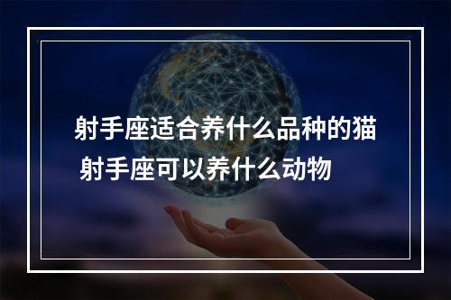 射手座适合养什么品种的猫 射手座可以养什么动物