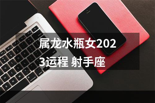 属龙水瓶女2023运程 射手座